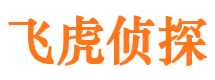 图们市调查公司